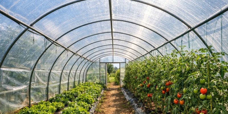 温室用フィルムの輸出